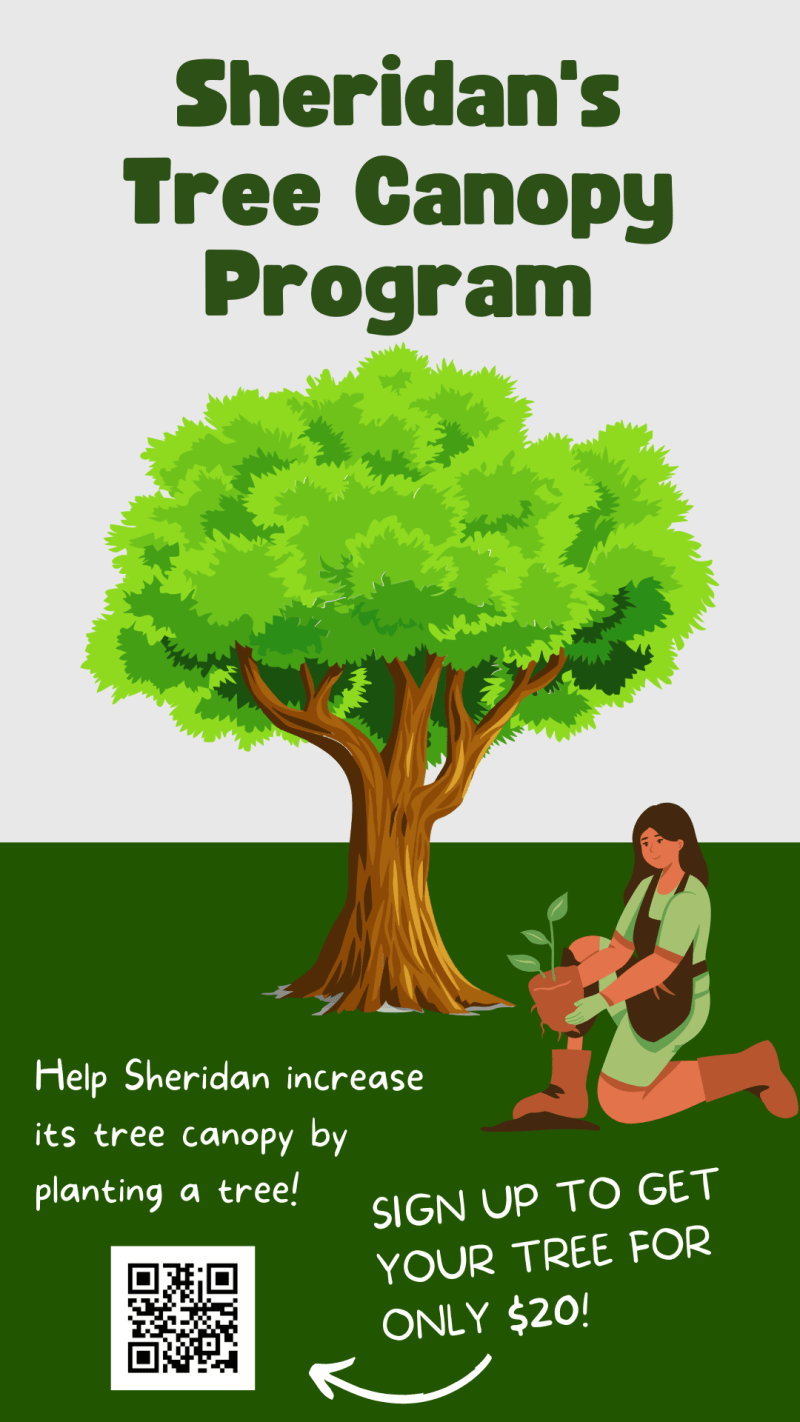谢里丹市树冠计划。提交在线申请，以20美元的价格购买一棵树。”itemprop=